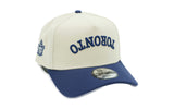 Toronto Maple Leafs New Era Stone Upside Down 9FORTY A Frame Hat