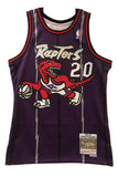 Men's Toronto Raptors Damon Staudamire Mitchell & Ness Purple 1998-99 Hardwood Classics Swingman Jersey